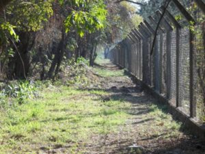 cerca-perimentral-640x480